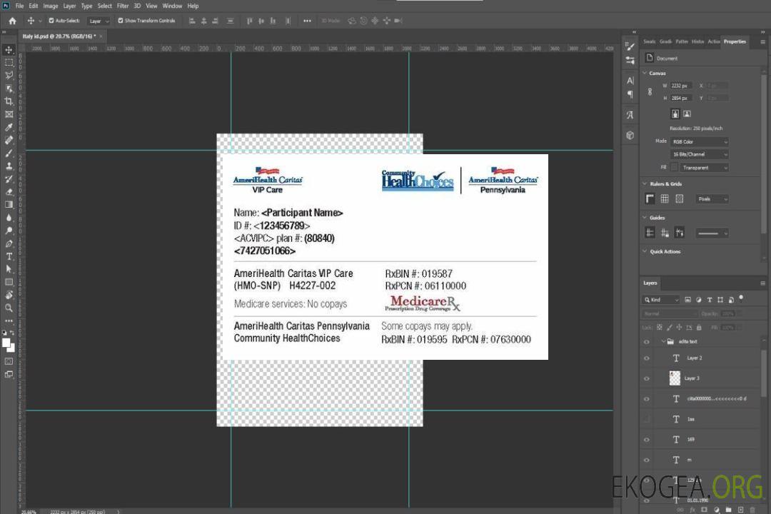 Carte d'assurance maladie de la Pennsylvania Community of HealthChoices template